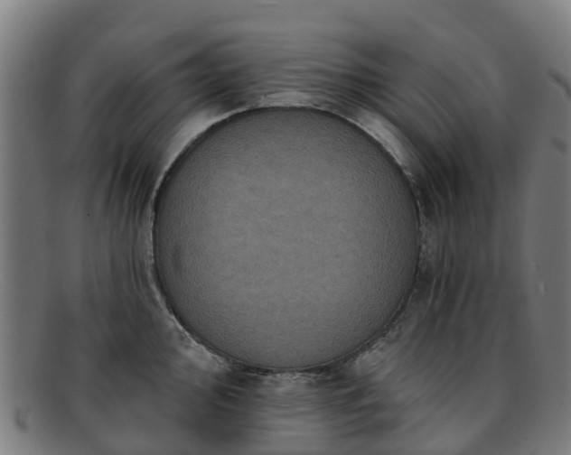 X0000091911000200709121514