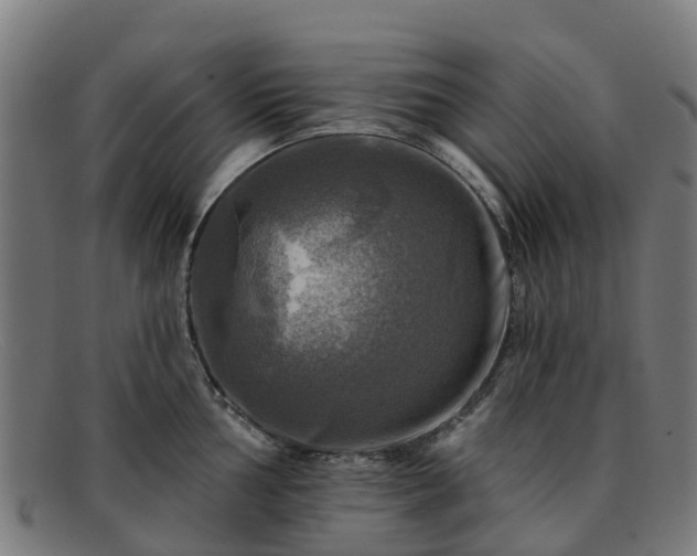 X0000091911002200709121514