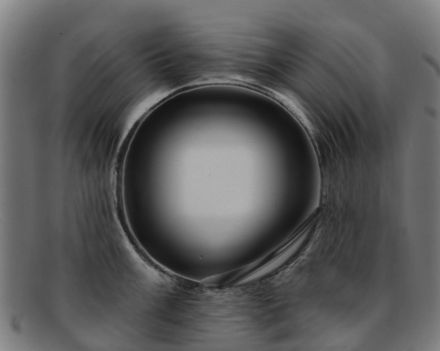 X0000091911003200709121514