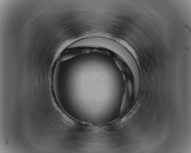 X0000091911005200709121514