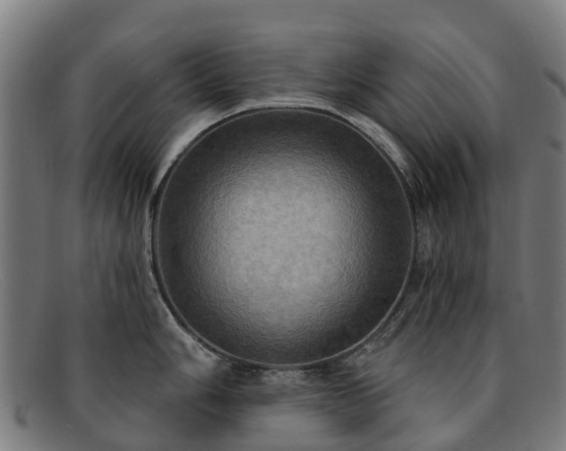 X0000091911006200709121514