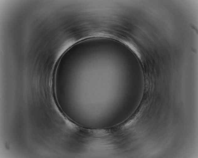 X0000091911007200709121514