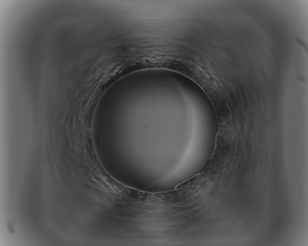 X0000091911009200709121513