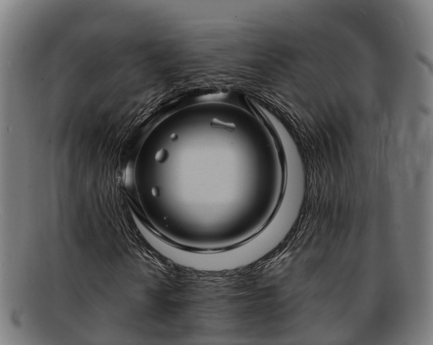 X0000091911010200709121513