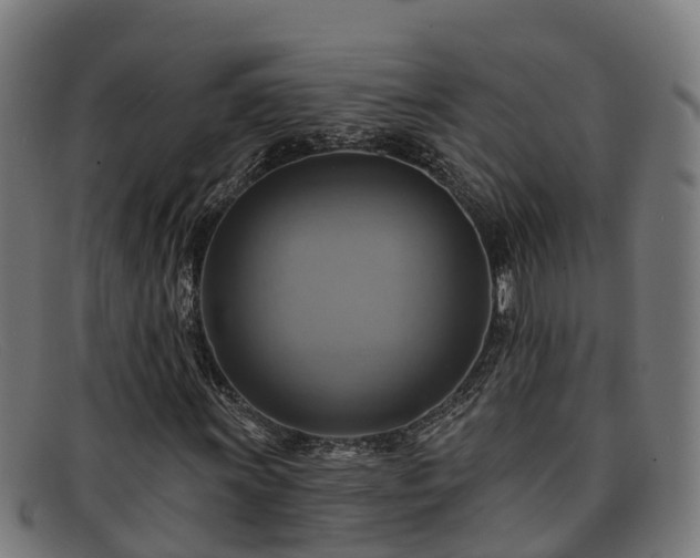 X0000091911011200709121513