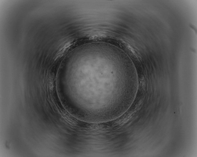 X0000091911012200709121513