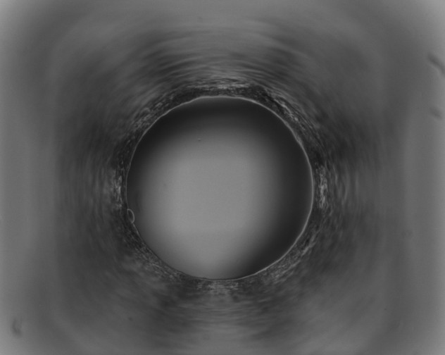 X0000091911013200709121513