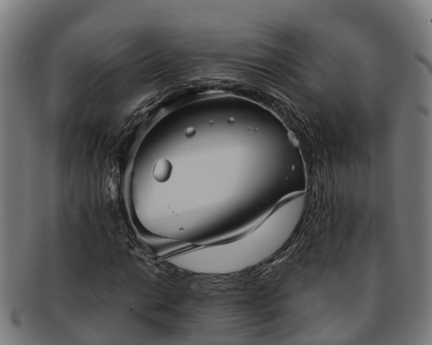 X0000091911014200709121513