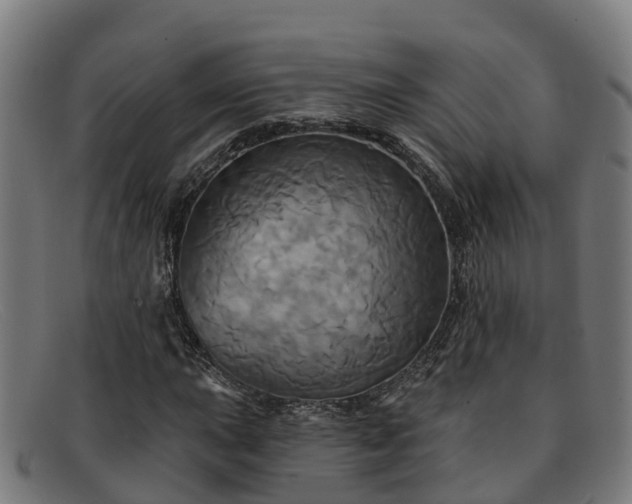 X0000091911015200709121513