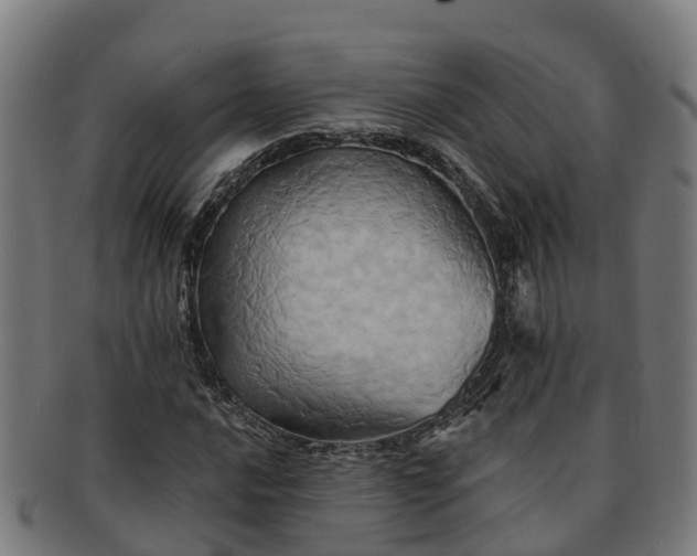 X0000091911016200709121513