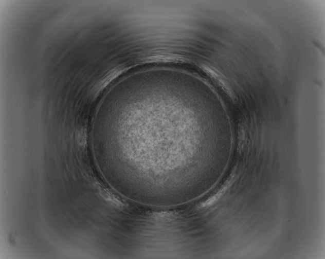 X0000091911017200709121513