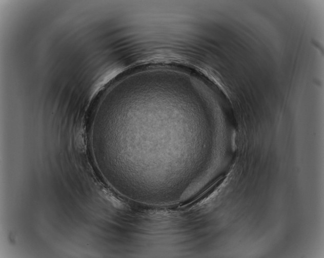 X0000091911018200709121513