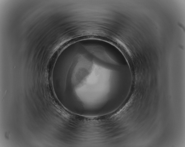 X0000091911019200709121513