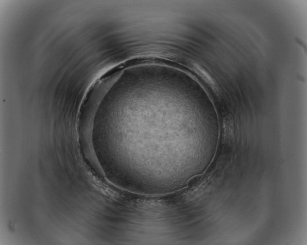 X0000091911020200709121513