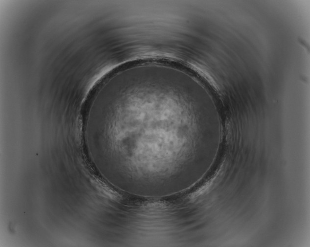 X0000091911021200709121513