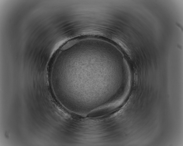 X0000091911022200709121513