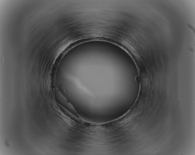 X0000091911023200709121513