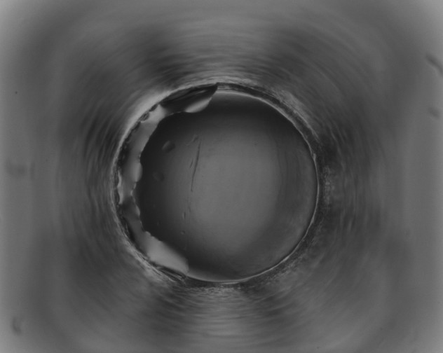 X0000091911024200709121513