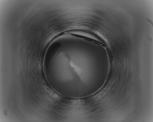 X0000091911025200709121513