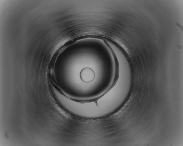 X0000091911026200709121513