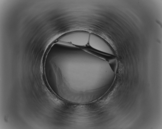 X0000091911028200709121513