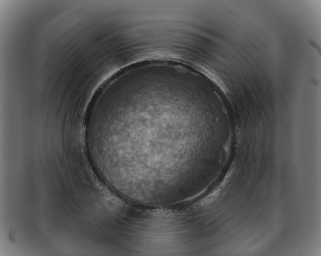 X0000091911029200709121513