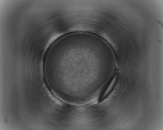 X0000091911030200709121513