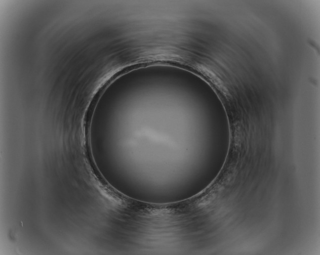 X0000091911031200709121513