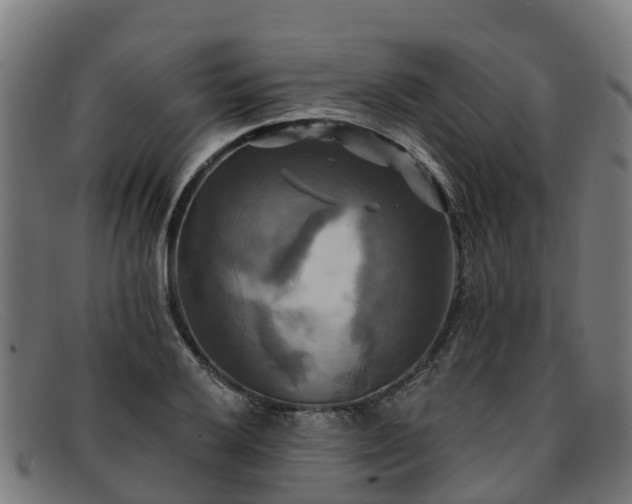 X0000091911032200709121513