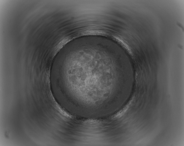 X0000091911033200709121513