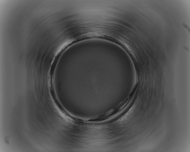 X0000091911034200709121513