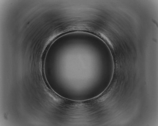 X0000091911035200709121513