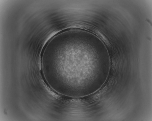 X0000091911036200709121513