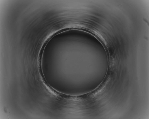 X0000091911037200709121513