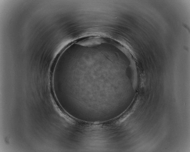 X0000091911038200709121513