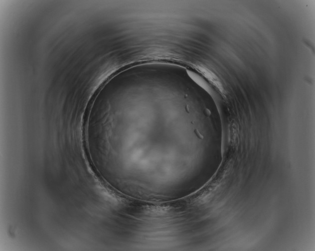 X0000091911039200709121513