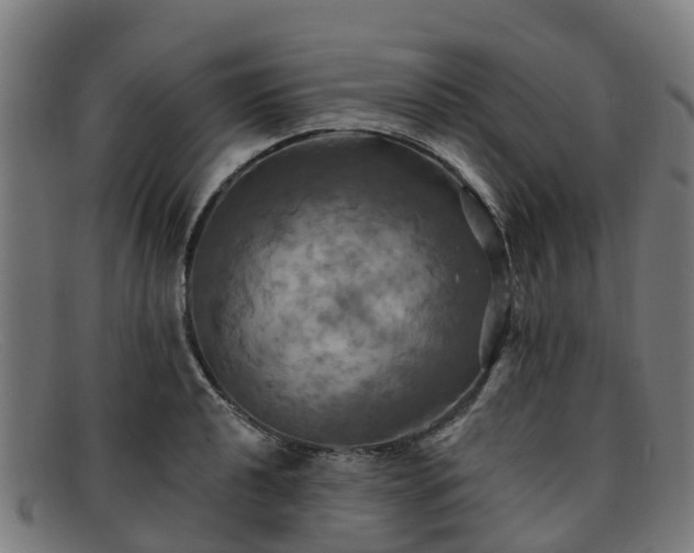 X0000091911040200709121513