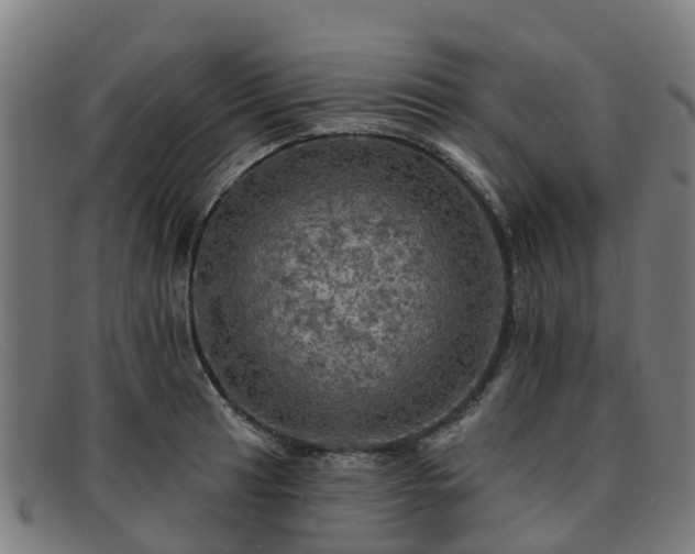 X0000091911041200709121513