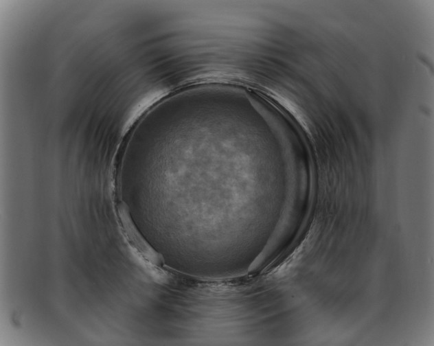 X0000091911042200709121513