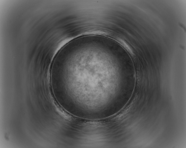 X0000091911044200709121513