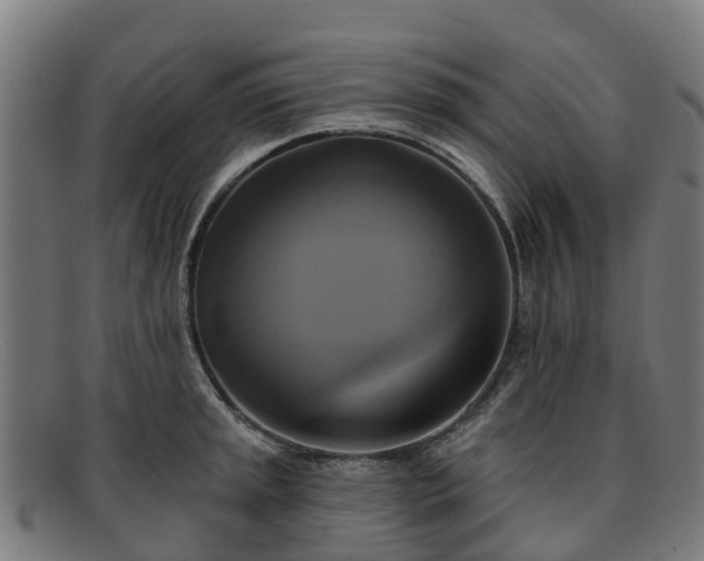 X0000091911045200709121513