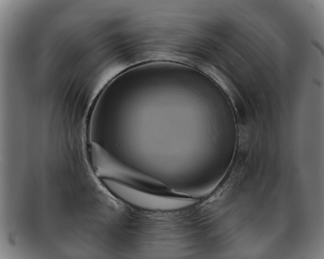 X0000091911048200709121513