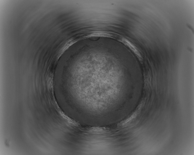 X0000091911049200709121513