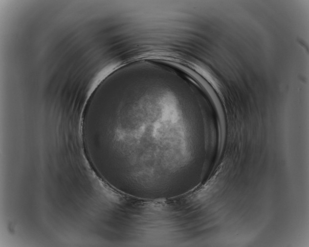 X0000091911050200709121513