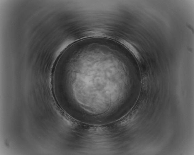 X0000091911051200709121513