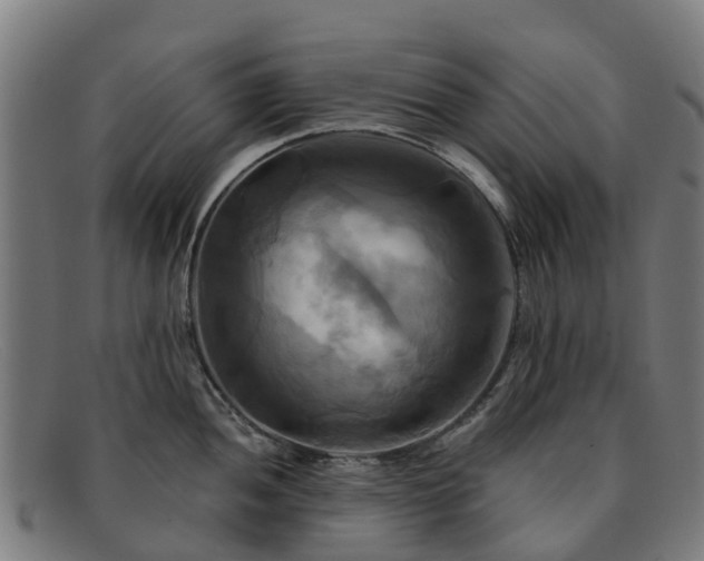 X0000091911052200709121513