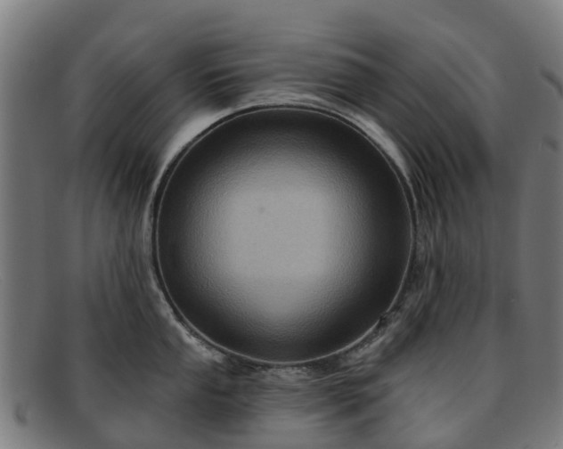 X0000091911053200709121514