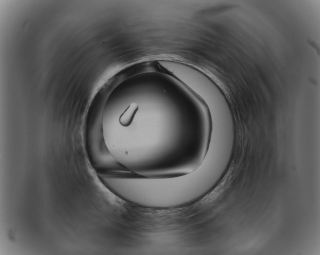 X0000091911054200709121514