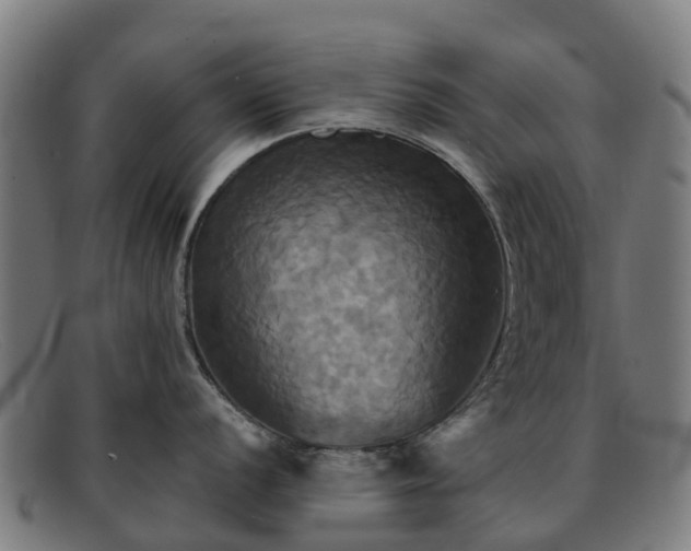 X0000091911056200709121514