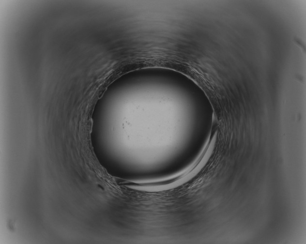 X0000091911057200709121513